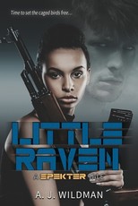 Little Raven