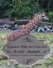 Signature Wall Art Collection