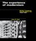 The Experience of Modernism