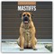 Mastiffs - Mastiff 2027 - 16-Monatskalender