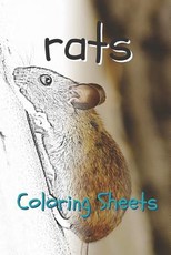 Rat Coloring Sheets