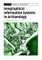 Geographical Information Systems in Archaeology