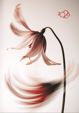 2026 m. A5 darbo kalendorius ŠVELNUMAS