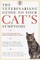 The Veterinarians' Guide to Your Cat's Symptoms