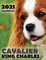 Cavalier King Charles 2021 Calendar