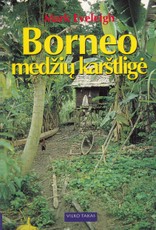 Borneo medžių karštligė
