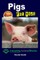 Pigs For Kids