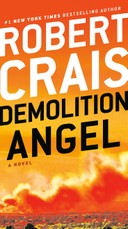 Demolition Angel