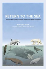 Return to the Sea