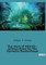 Our story of Atlantis