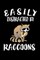 Easily Distracted By Raccoons
