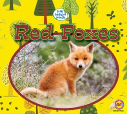 Red Foxes