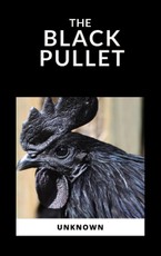 Author, A: The Black Pullet