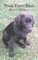 Your First Dog