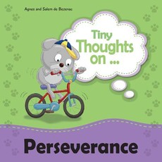 Tiny Thoughts on Perseverance