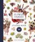 Flower Fairies Sticker Book
