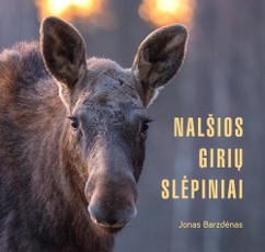Nalšios girių slėpiniai