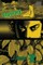 Vagabond, Volume 3 (VIZBIG Edition)