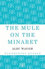 The Mule on the Minaret