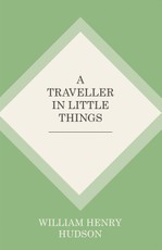 A Traveller in Little Things