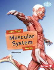 How Your Muscular System Works