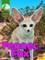 Fennec Fox
