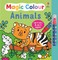 Magic Colour Animals