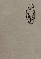 Lietuvos meno istorijos bruožai