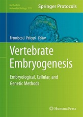 Vertebrate Embryogenesis