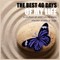 The Best 40 Days of My Life