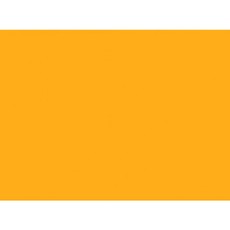 Spalvotas popierius 80g A4/100l Fluo oranžinis