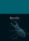Beetle