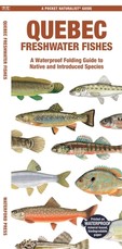 Quebec Fishes (English)