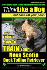 Nova Scotia Duck Tolling Retriever Training AAA AKC