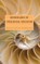 Borderlands of Theological Education