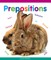 Prepositions