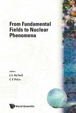 From Fundamental Fields to Nuclear Phenomena - Proceedings of the Workshop