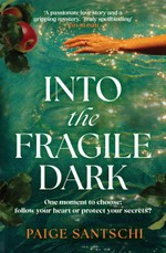Into the Fragile Dark