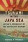 Tsunami in the Java Sea