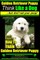 Golden Retriever Puppy - Think Like a Dog But Don't Eat Your Poop! - Golden Retriever Puppy Obedience & Behavior Training -