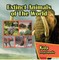 Extinct Animals of The World Kids Encyclopedia