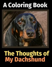 The Reflections of My Dachshund