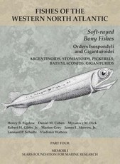 Soft-Rayed Bony Fishes: Orders Isospondyli and Giganturoidei