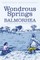 The Wonderous Springs of Balmorhea