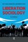 Liberation Sociology