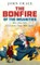 The Bonfire of the Insanities