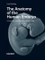 The Anatomy of the Human Embryo