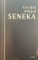 Laiškai Lucilijui