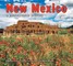 New Mexico