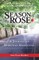 Season of the Rose